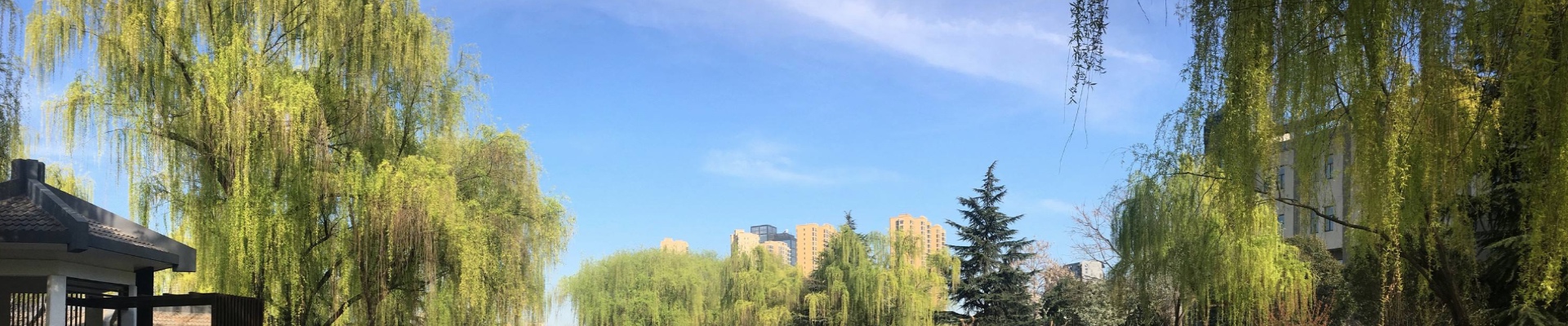 华体会手机平台-华体会（中国）