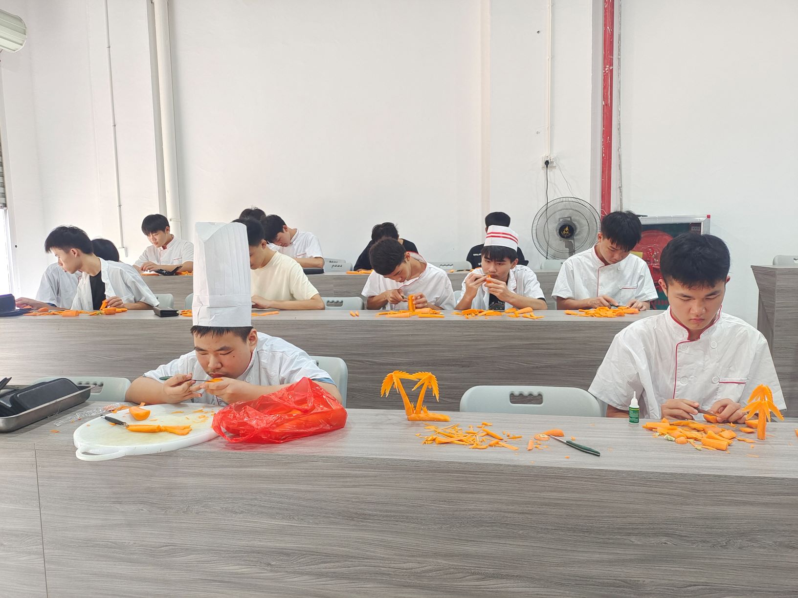 学生作品展示丨华体会手机平台-华体会（中国）