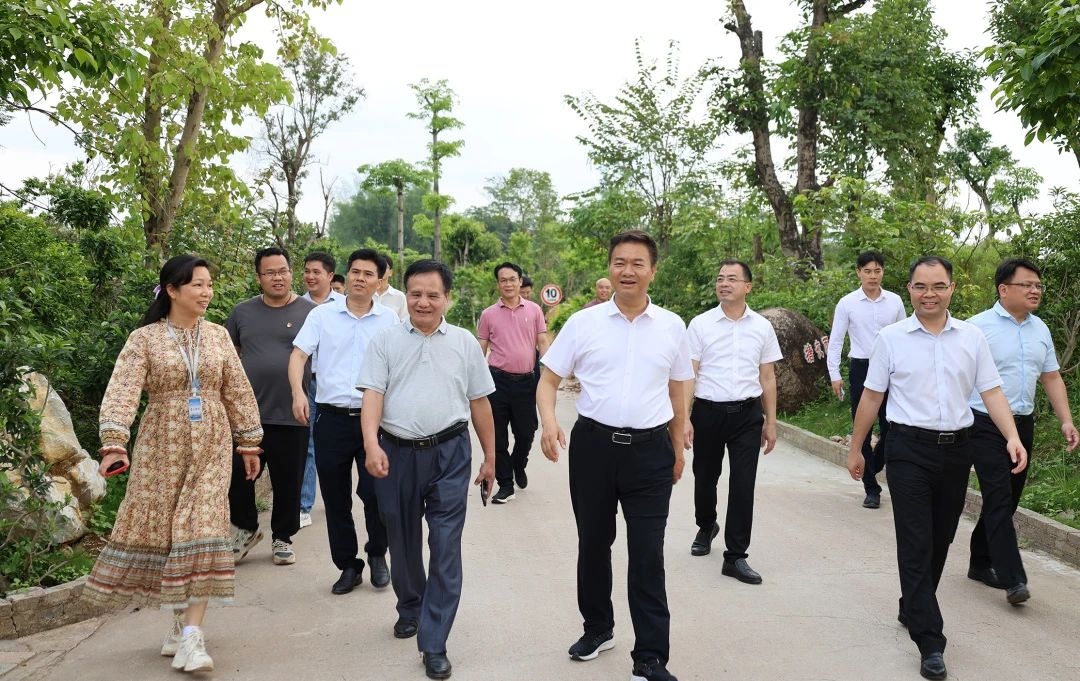 桂平市市长黄德佳等领导到我校指导工作 丨 华体会手机平台-华体会（中国）